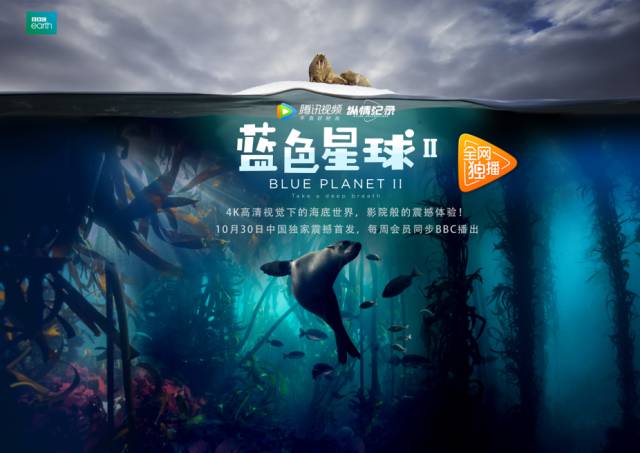 国产靠逼网站剧照3